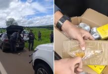 Casal é preso com quase 30 kg de drogas na Rodovia Péricles Bellini