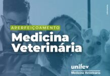 Programa de Aperfeiçoamento Profissional em Medicina Veterinária Unifev está com inscrições abertas