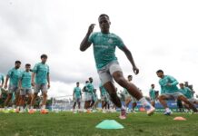 Palmeiras prepara time ideal, mas deve ter novo desfalque contra o Fluminense