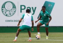 Arias treina com grupo pela primeira vez e pode estrear pelo Palmeiras nas quartas do Paulista