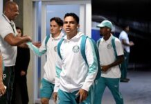 Veja quanto o Palmeiras pode lucrar com empréstimo de Bruno Rodrigues ao Cruzeiro