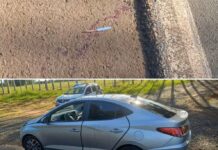 Motorista de app esfaqueado 12 vezes recebe alta em Votuporanga