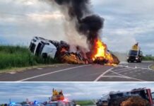 Motorista morre carbonizado em acidente em rodovia da região