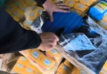 Mais de 2 toneladas de maconha são encontradas escondidas em carga de erva-mate em caminhão clonado