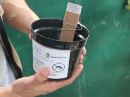 Votuporanga se destaca em projeto de combate à dengue e é escolhida para novo programa