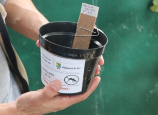 Votuporanga se destaca em projeto de combate à dengue e é escolhida para novo programa
