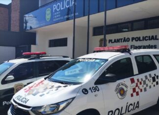 Homem é preso por posse ilegal de arma de fogo em Simonsen