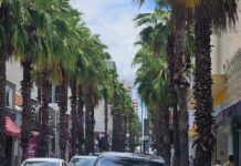 Carnaval: comércio terá horário especial e expectativa de movimentação