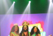 Abre-alas para o samba passar