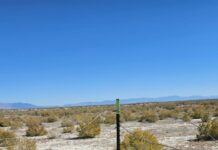 Sobre desafios da vida e mistérios do céu