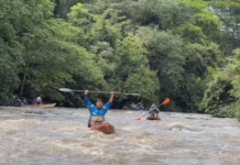 Voluntários repovoam e limpam o Rio São José dos Dourados entre Valentim Gentil e Meridiano
