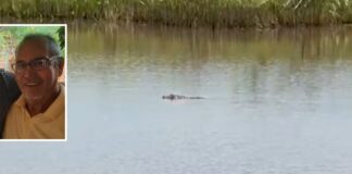 Aposentado encontrado com marcas de mordidas ao lado de jacarés morreu após ataque de animal, diz laudo