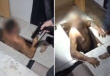 Chefe de organização criminosa é preso escondido em ‘bunker’ subterrâneo em Pindorama