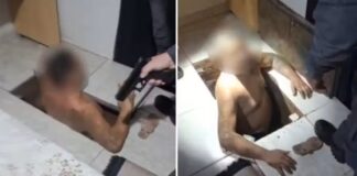 Chefe de organização criminosa é preso escondido em ‘bunker’ subterrâneo em Pindorama