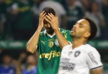 Contra o Botafogo, Palmeiras precisará superar raro visitante indigesto no Allianz Parque
