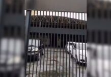 Pelo menos 130 vítimas caíram no calote da revenda de veículos