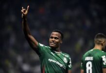 Arias desencanta, Palmeiras vence Botafogo e retoma liderança do Brasileiro