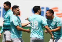 Liderança, Copas e controle do desgaste: como o Palmeiras pretende se preparar na Data Fifa