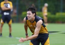 São Paulo negocia empréstimo de Ferraresi para o Botafogo