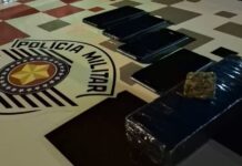 PM tem orelha decepada ao ser atacado por pitbull durante abordagem a casal por suspeita de tráfico de drogas em Andradina