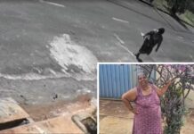 Mulher de 63 anos desaparece após sair de casa sem avisar em Poloni