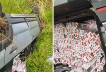 Homem é preso por contrabando de cigarros após capotamento em rodovia de Mirassol