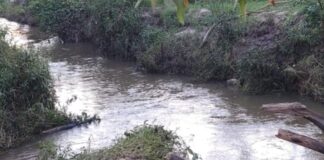 Corpo de homem é encontrado em córrego em Fernandópolis