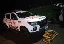 Casal é preso com mais de 46 kg de maconha em rodovia de Castilho