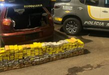 Homem é preso com 220 kg de maconha em rodovia de Andradina