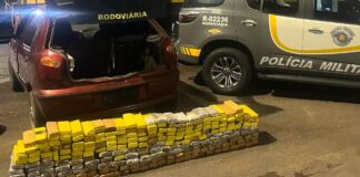 Homem é preso com 220 kg de maconha em rodovia de Andradina