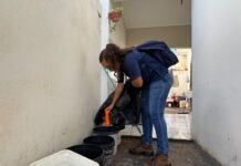 Mutirão contra a Dengue mobiliza equipes no bairro Palmeiras neste sábado