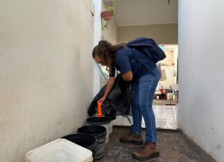 Mutirão contra a Dengue mobiliza equipes no bairro Palmeiras neste sábado