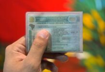 Projeto de lei sugere criar CNH separada para carros automáticos e manuais