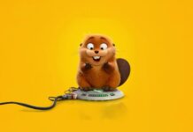 Entre humanos e animais, uma missão que é o bicho