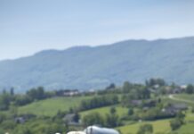 Campanha de vacinação contra a Brucelose segue até 30 de junho