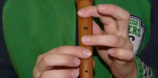 Escola Municipal de Artes abre inscrições para aulas gratuitas de Flauta Doce