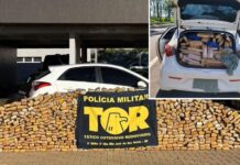 Homem é preso ao tentar fugir com mais de meia tonelada de maconha em rodovia de Nhandeara