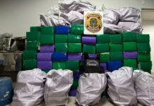 PF encontra quase 2 toneladas de maconha oculta em carga de solventes