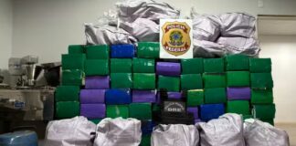 PF encontra quase 2 toneladas de maconha oculta em carga de solventes