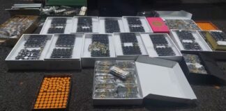 Motorista é flagrado pela PRF com anabolizantes na BR-153 em José Bonifácio