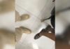 Idosa desaparecida é encontrada às margens de rodovia após caminhar 15 km sozinha