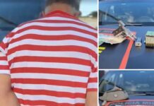 Suspeito de invadir casa e balear casal na presença dos filhos é preso em GO