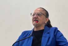 Débora Romani pede Wi-Fi na UPA, câmeras nos Ecotudos e melhorias em ciclovia