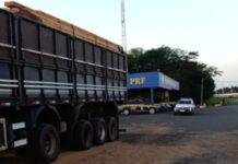 PRF apreende 22 toneladas de madeira ilegal na BR-153