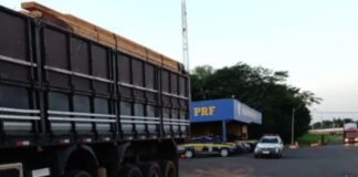 PRF apreende 22 toneladas de madeira ilegal na BR-153