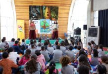 Fliv 2026 abre editais e amplia participação regional em projetos artísticos