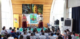 Fliv 2026 abre editais e amplia participação regional em projetos artísticos