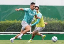 Paulinho treina sem restrições no Palmeiras em preparação para jogo da Libertadores
