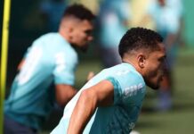 Vitor Roque participa de treino no Palmeiras e fica perto de voltar; Paulinho também vai a campo