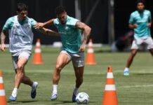 Palmeiras chega à Colômbia para estreia na Libertadores